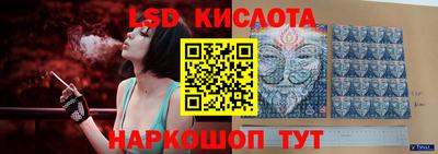 прущие грибы Будённовск