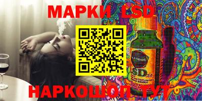 прущие грибы Будённовск