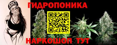 прущие грибы Будённовск