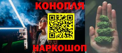 прущие грибы Будённовск