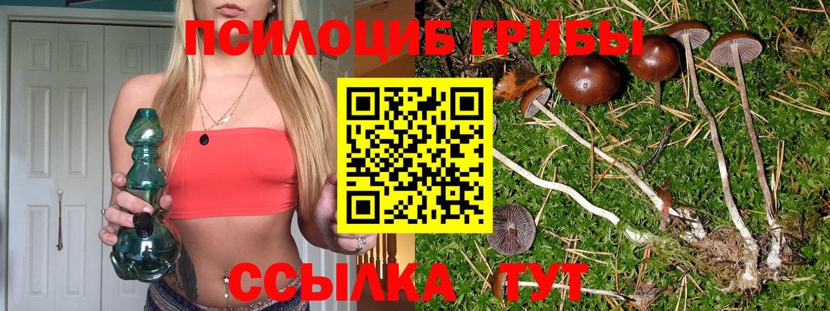 Псилоцибиновые грибы прущие грибы Феодосия